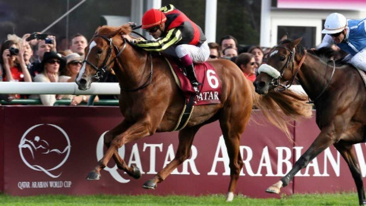 競馬 オルフェーヴルって本当に強かったんだな 競馬まとめ 競馬スタジアム