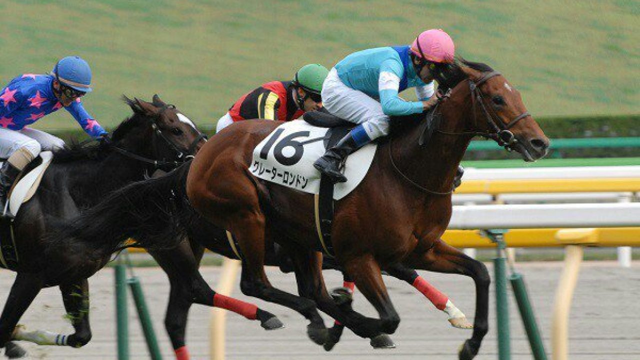 競馬 中京記念勝ちのグレーターロンドン引退 種牡馬に 競馬まとめ 競馬スタジアム