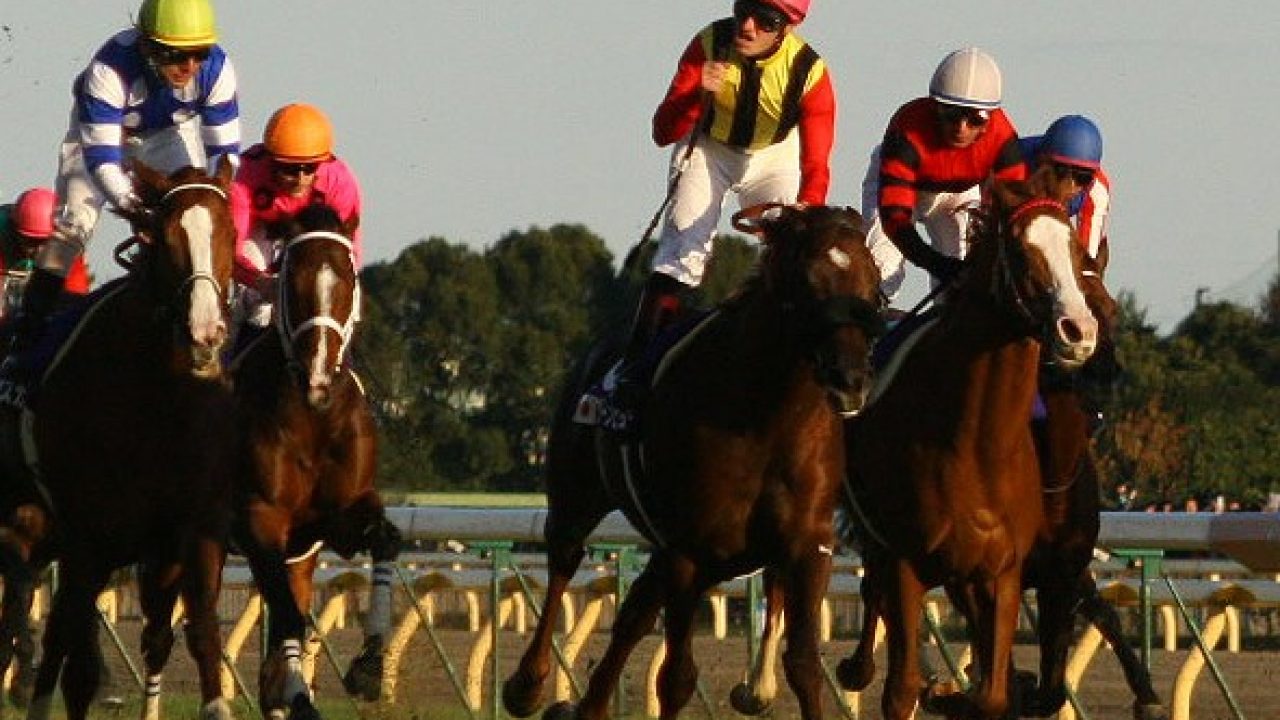 競馬 お前誰だよという馬が勝ったg1 競馬まとめ 競馬スタジアム