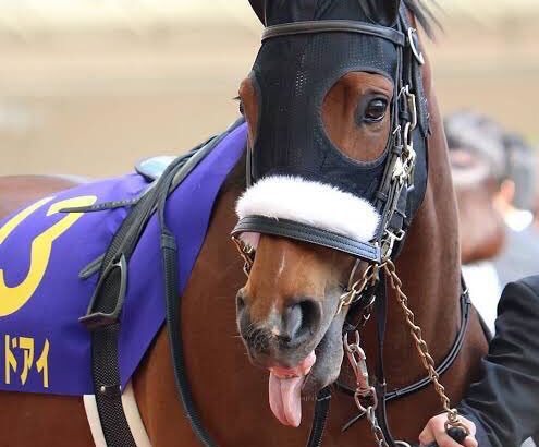 【競馬】ルメール「アーモンドは今迄騎乗した馬の中で一番強い。凱旋門を勝てる馬。来年連れて行きたい。」