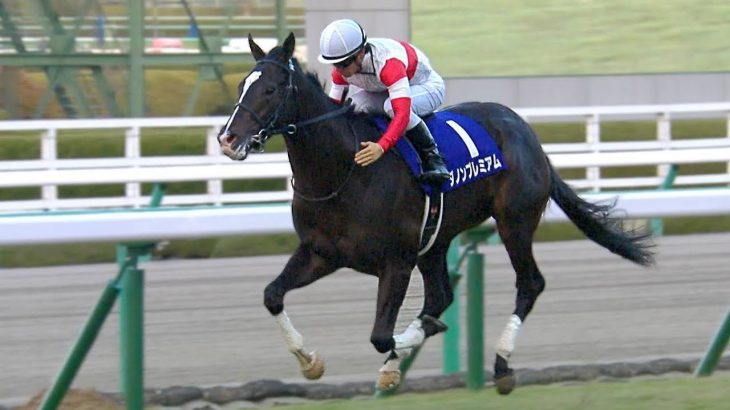 【競馬】【悲報】ダノンプレミアム、大阪杯回避して安田記念へ